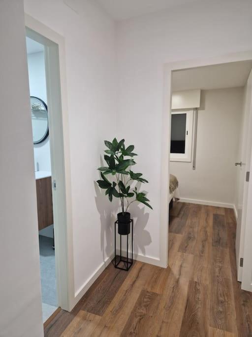 Atico Cork Apartment Vigo Ngoại thất bức ảnh