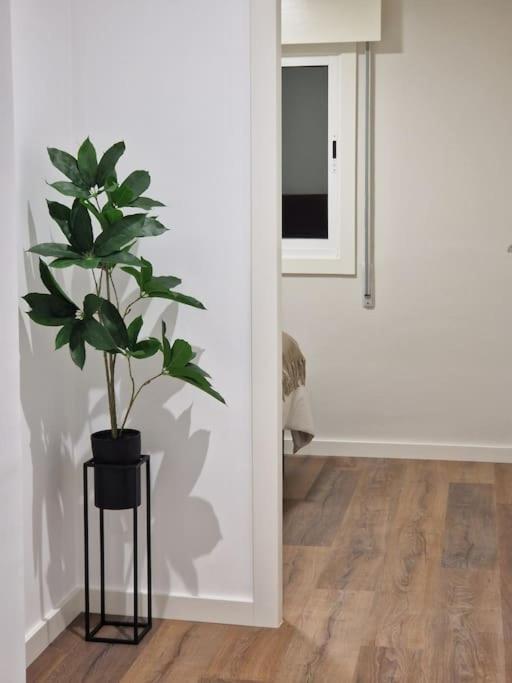 Atico Cork Apartment Vigo Ngoại thất bức ảnh